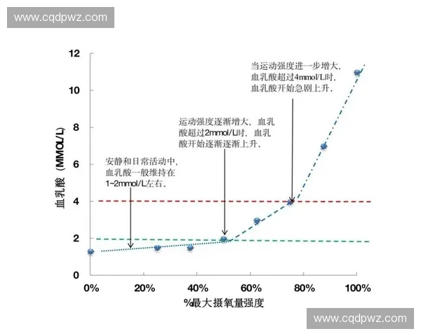 运动疲劳的形成机制与恢复策略探索:提高运动表现的关键因素